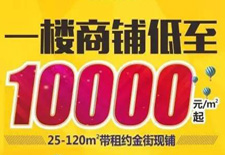 熱度持續(xù)不減！10000元/平米起買真金現(xiàn)鋪