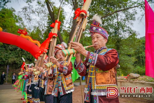 當代廣西網 融水 高鐵無軌站助力 旅游 扶貧