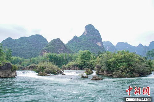 廣西大新 游客畫(huà)中游