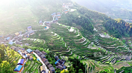 廣西三江苗寨梯田美如畫(huà)卷 迎來(lái)最佳觀賞期