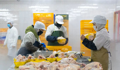 液氮速凍機助力預制菜行業(yè)還原度問題