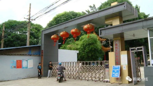 廣西一高校要求學生賣20箱芒果,銷量不好可能畢不了業(yè)