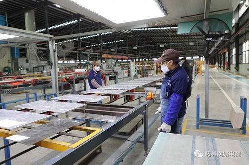 藤縣已有46家企業(yè)復工復產(chǎn)