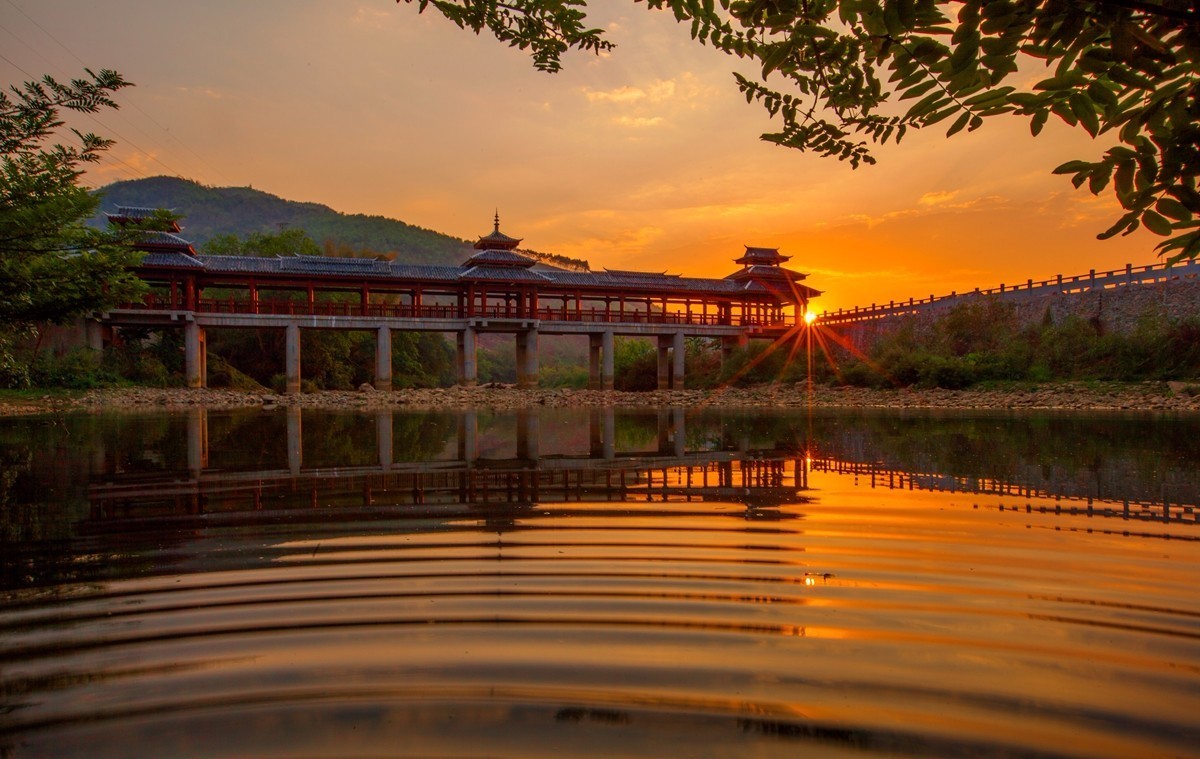 茶旅世界·十大魅力茶鄉(xiāng)參評丨廣西壯族自治區(qū)百色市西林縣