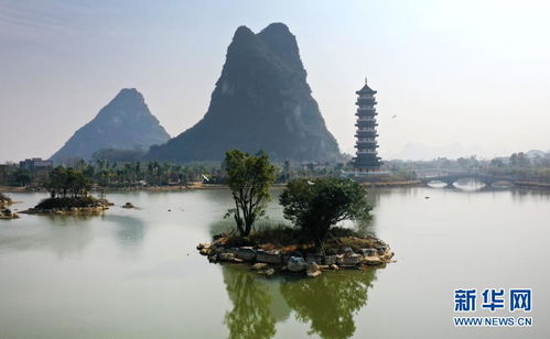 廣西柳江 昔日水塘變身生態(tài)公園