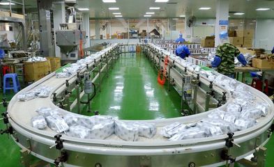 【茗邊聚焦】梧州六堡茶系列報(bào)道之三中茶窖藏六堡茶:一杯六堡茶,半部外貿(mào)史