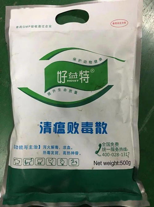 家禽八個(gè)常見呼吸道病 一病一藥方 匯總