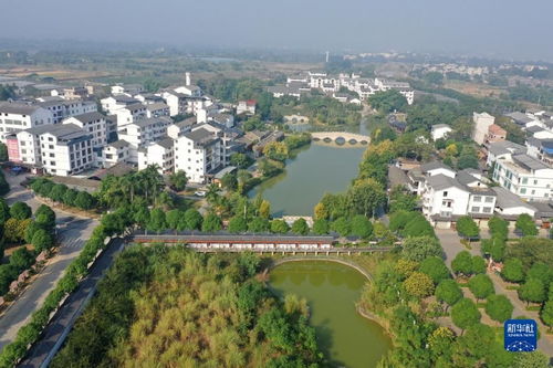 振興鄉(xiāng)村生態(tài)美，廣西南寧繪就綠色發(fā)展新畫卷